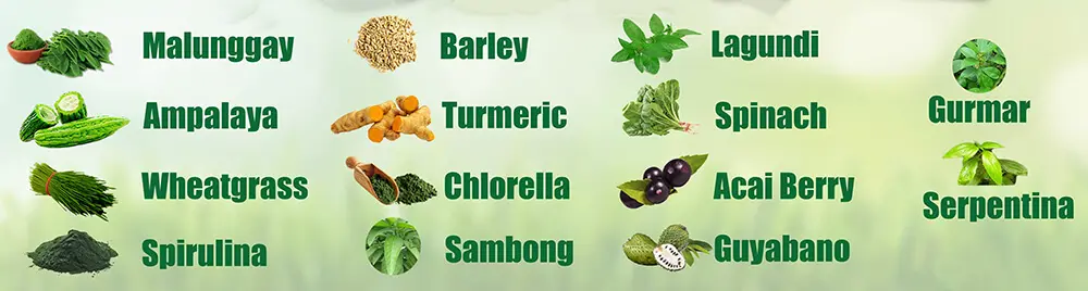 Contains Malunggay, Ampalaya, Wheatgrass, Spirulina, Barley, Turmeric, Chlorella, Sambong, Lagundi, Spinach, Acai Berry, Guyabano, Gurmar, Serpentina